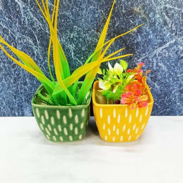 Square Shape Khurja Ceramic Succulent Planters - KC8104