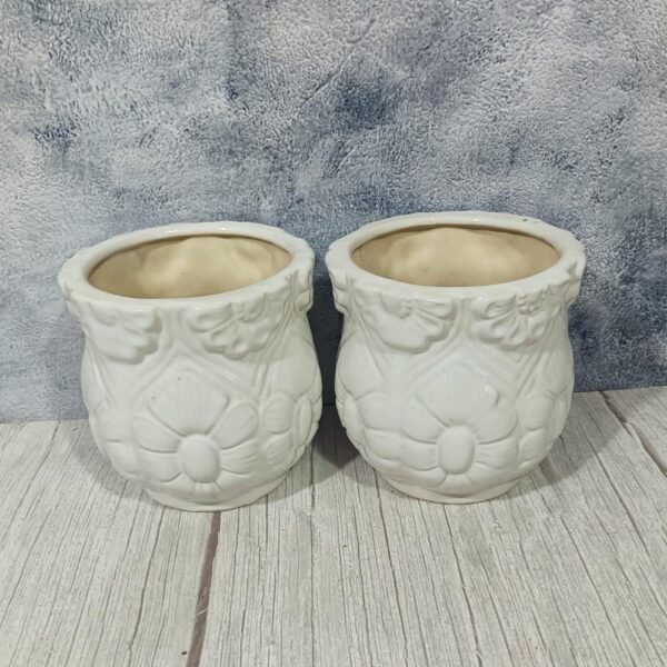 Leaf Design White Indoor Ceramic Planters Pot-aa6012